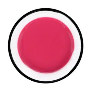 Mecosmeo Color Gel Berry Mood 5ml