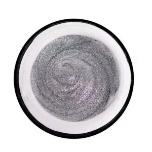 Mecosmeo Glossy Paint Gel Silver 5ml