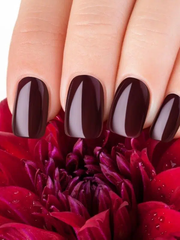 Μπορντό Νύχια 20 Σχέδια Μανικιούρ mpornto nyxia klassiko manikiour