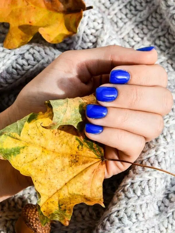 Φθινοπωρινά Νύχια - 44 Σχέδια & Χρώματα Μπλε ρουά νύχια