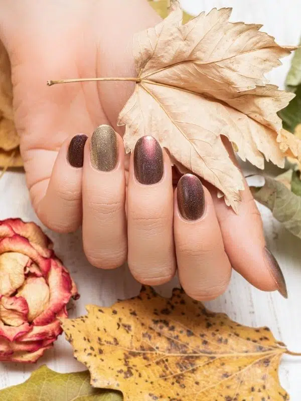 Φθινοπωρινά Νύχια - 44 Σχέδια & Χρώματα Φθινοπωρινά νύχια σε γήινα χρώματα με στρας