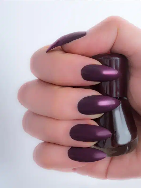 Νύχια Χειμώνας 50 Σχέδια 2024-2025 nuxia xeimonas sxedia 48