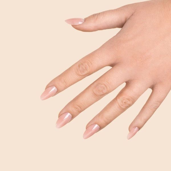 acrylgel chilly beige a