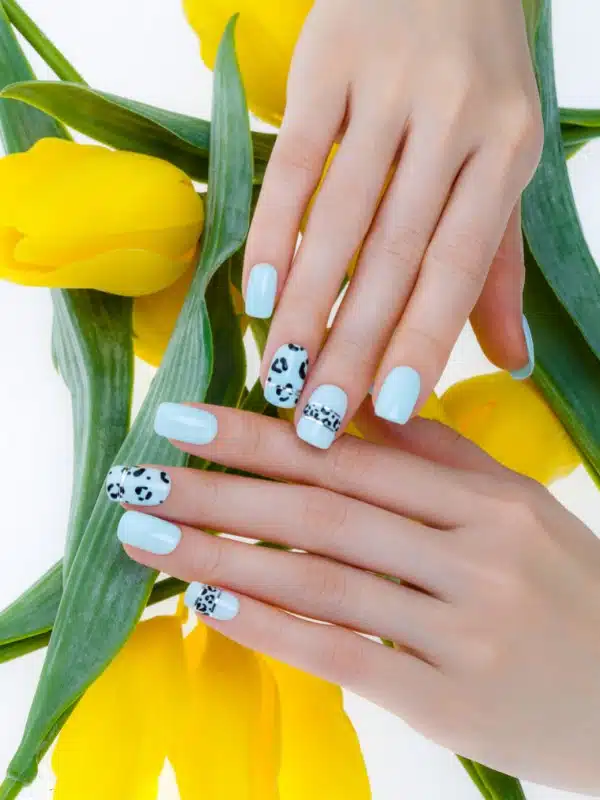 nuxia anoixi animal print